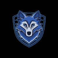 WOLF VIP VPN