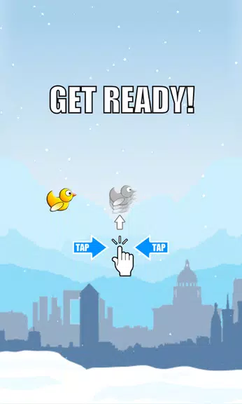 Duck Run Screenshot 0