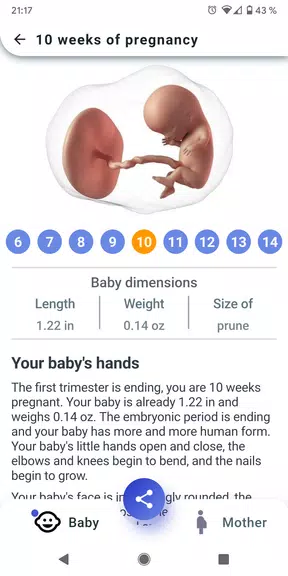 My Pregnancy - Week by Week Captura de tela 1