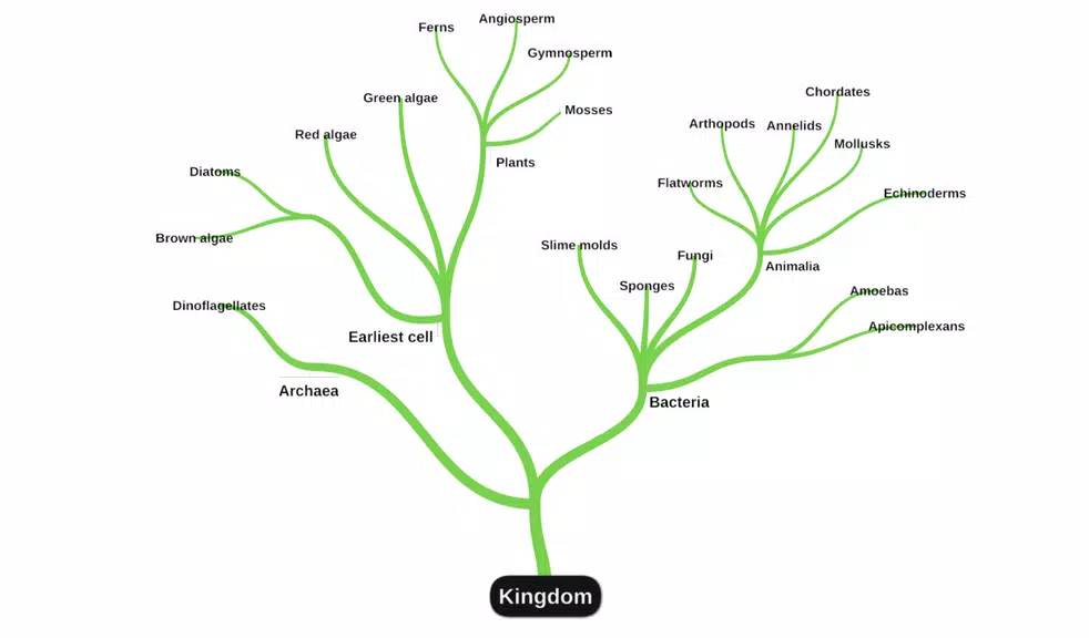 miMind - Easy Mind Mapping Captura de tela 1