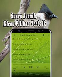 Suara Burung Kutilang Offline Captura de tela 3