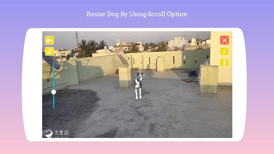 Dog play Ar Capture d'écran 2