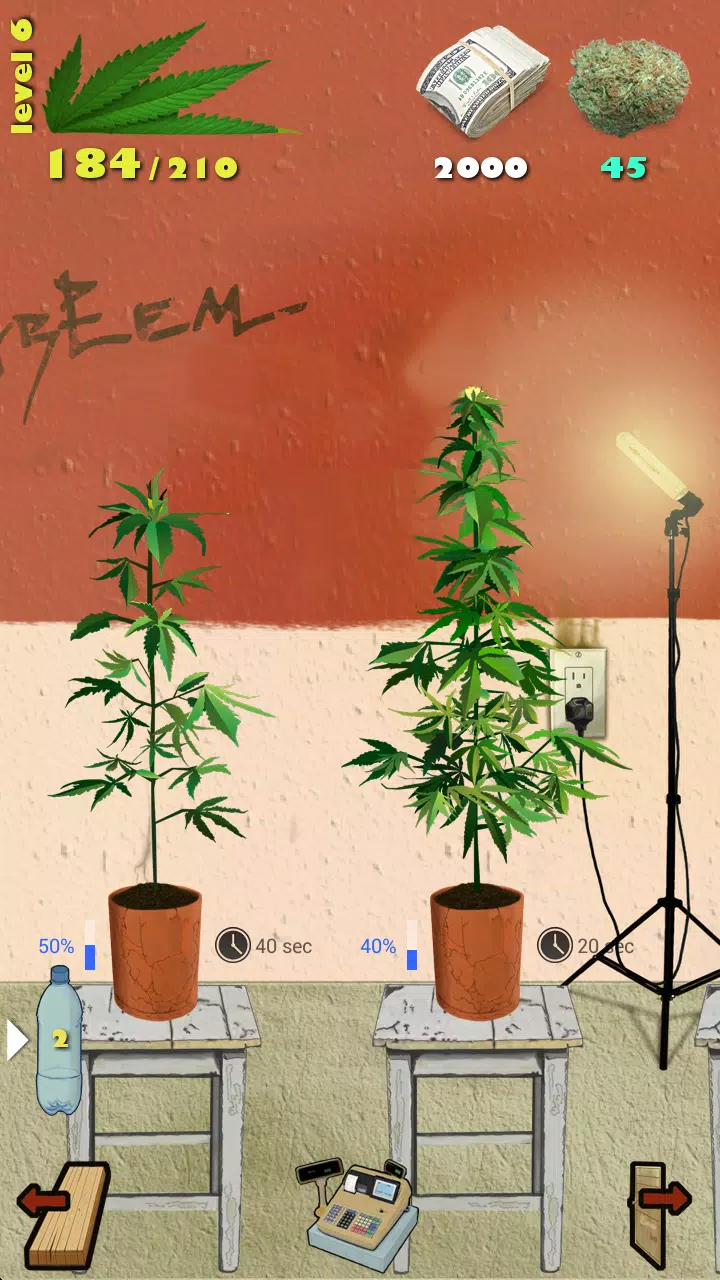 Weed Firm: RePlanted应用截图第1张