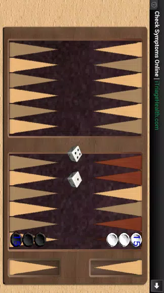 BACKGAMMON 31 - طاولة زهر نرد应用截图第3张