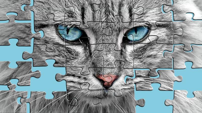 Big puzzles with cats 스크린샷 0