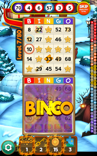 Bingo Quest Winter Garden - Christmas Adventure Captura de tela 1