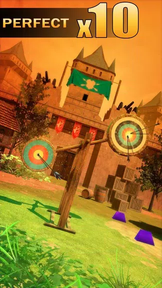 Archery Shooting应用截图第0张