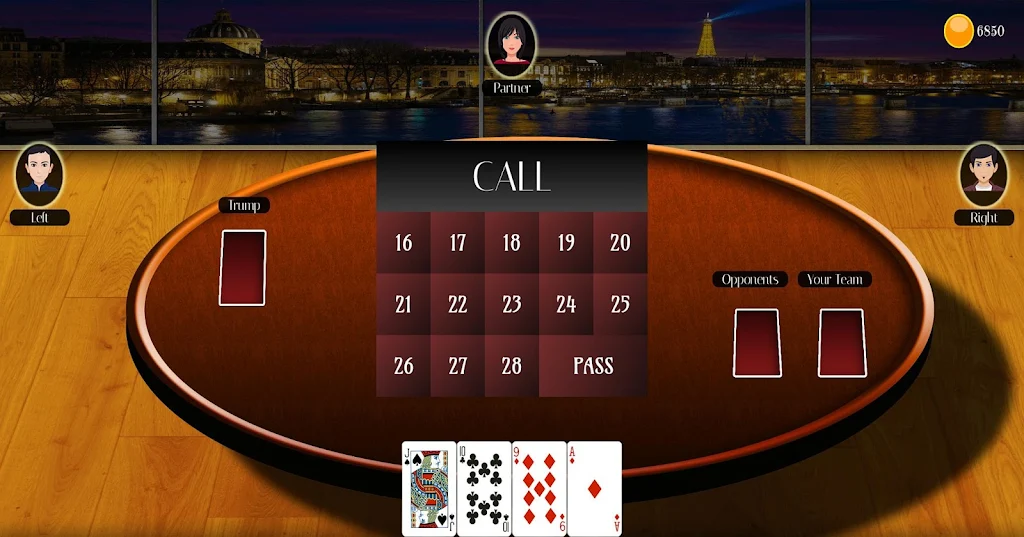 29 Card Game Lite Screenshot 1