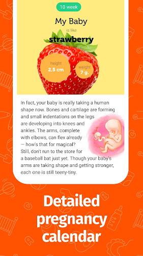 Pregnancy App and Baby Tracker Capture d'écran 2