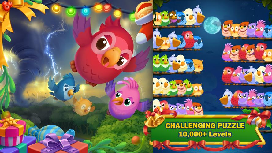 Bird Story Captura de tela 3