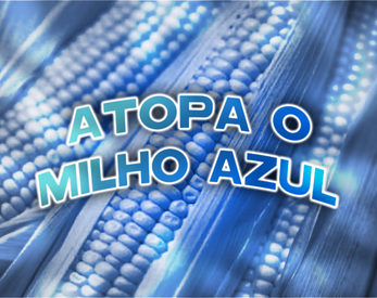 Atopa o Milho Azul Captura de tela 0