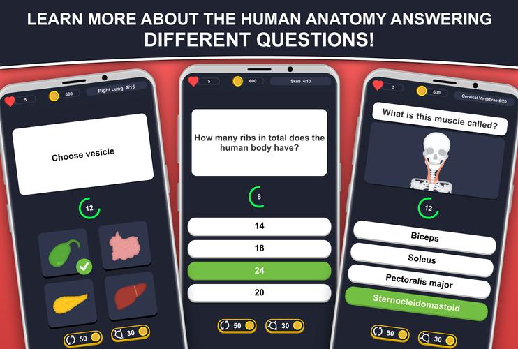 Anato Trivia 스크린샷 0