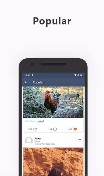 My Social Network應用截圖第1張