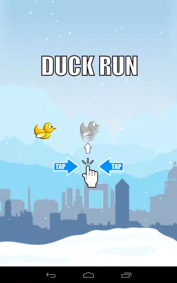 Duck Run स्क्रीनशॉट 2