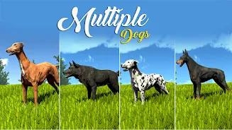 Wild Dog Pet Simulator Games 스크린샷 0