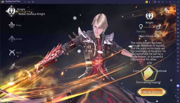 Devil Hunter Raider: Class Guide