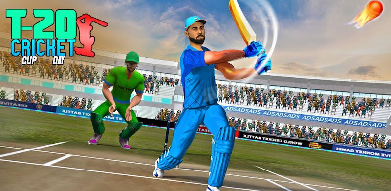 World Cricket Match Game Capture d'écran 2