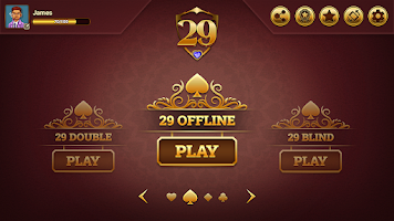 29 Royal Pro Card Game Offline Screenshot 2