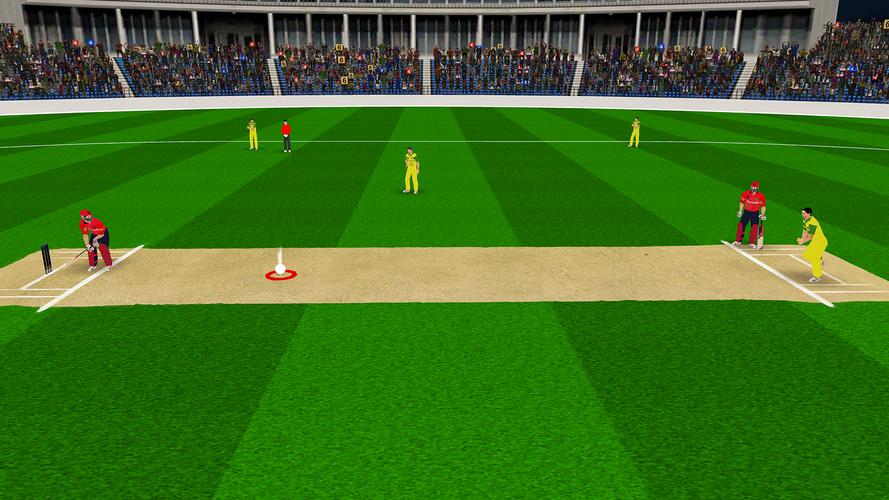 Real World Cricket T10 Games Скриншот 2