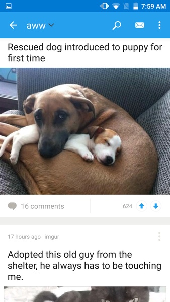 Reddit Screenshot 3