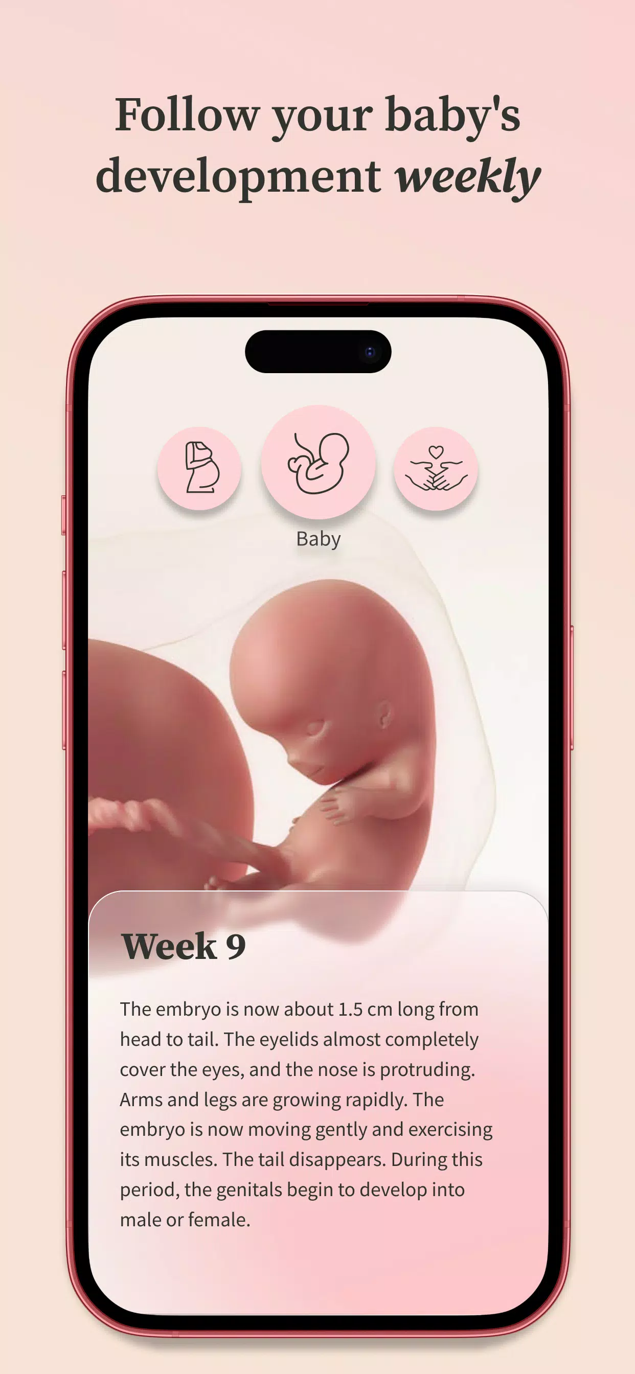 Preglife Capture d'écran 2
