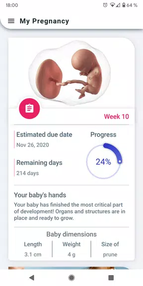 My Pregnancy - Week by Week Captura de tela 0