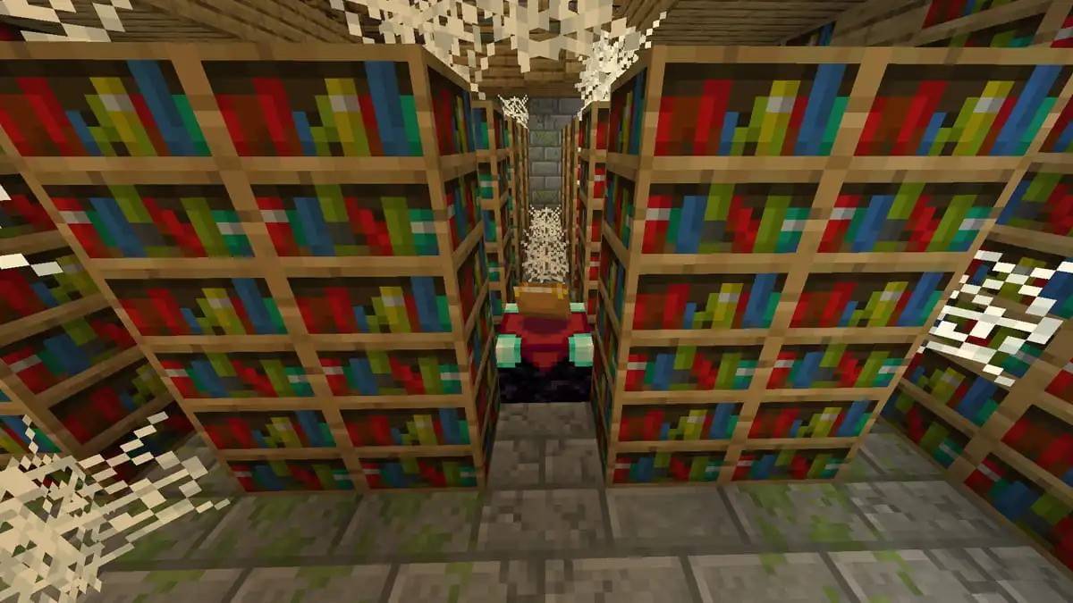 bibliothèque à minecraft