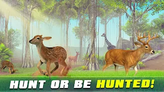 Safari Animal Hunter Simulator应用截图第3张