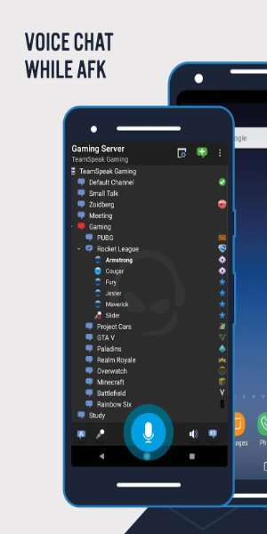 TeamSpeak 3 - Voice Chat スクリーンショット 0
