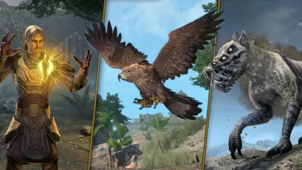 Elder Scrolls Online -Unterklassen kommen nach 11 langen Jahren der Fans, die es anfordern