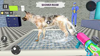 Animal Shelter: Pet Rescue 3D應用截圖第0張