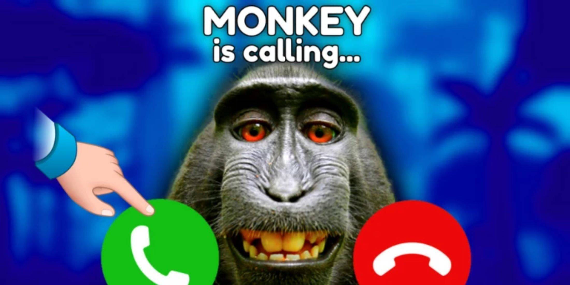 Monkey Tycoon Code Redemption