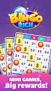 Bingo Rich Captura de tela 1