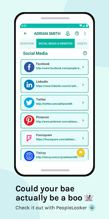 PeopleLooker Background Search Скриншот 1