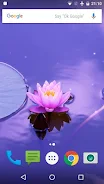 Zen Live Wallpaper Screenshot 2