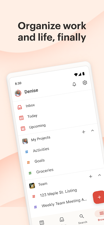 Todoist: to-do list & planner Screenshot 0