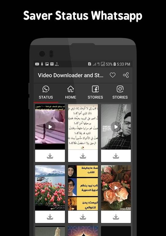 Video Downloader and Stories Capture d'écran 2