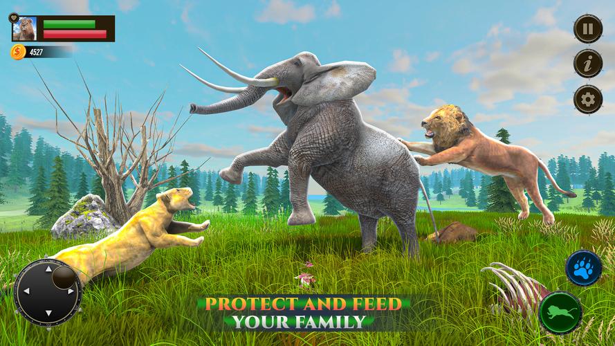 Jungle Kings Kingdom Lion スクリーンショット 1