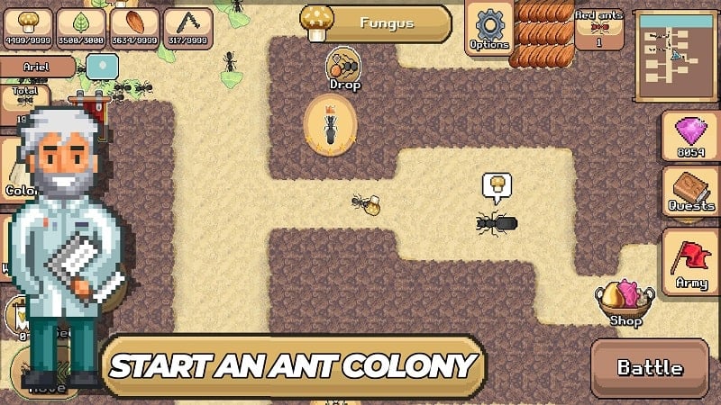 Pocket Ants应用截图第2张