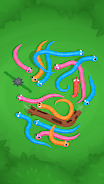 Snake Knot: Sort Puzzle Game應用截圖第1張