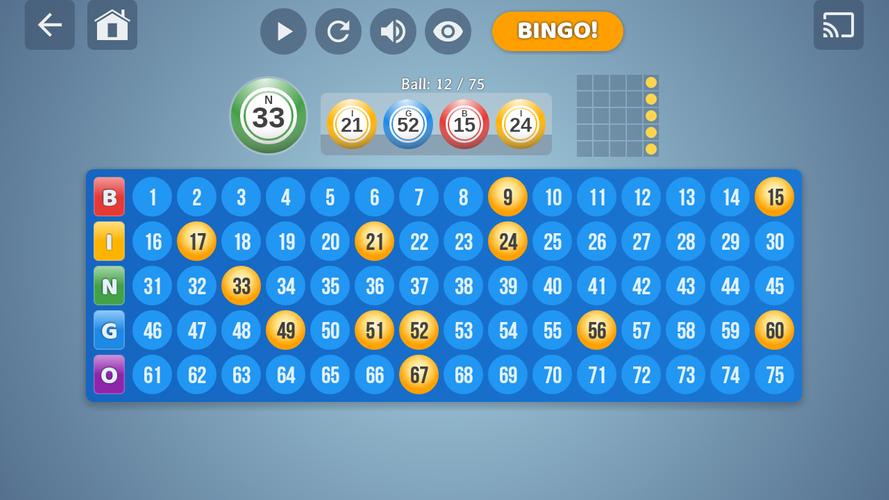 Bingo Set應用截圖第3張