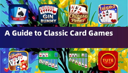 클래식 카드 게임 가이드