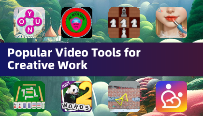 Popular Video Tools for Creative Work